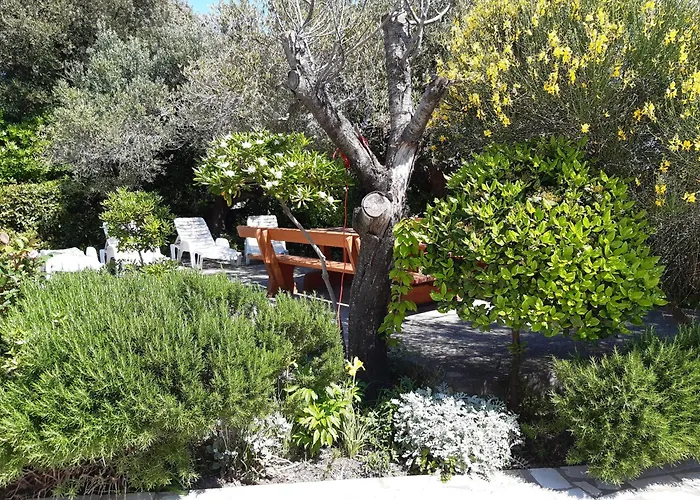 Meli Seafront Chill Gæstehus